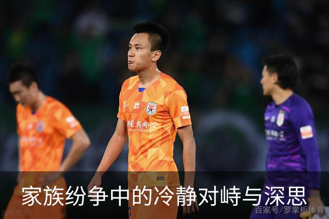 家族纷争中的冷静对峙与深思