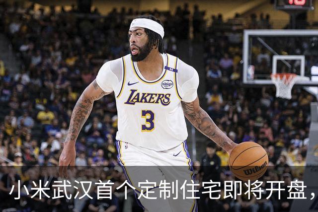 小米武汉首个定制住宅即将开盘，未来可期！